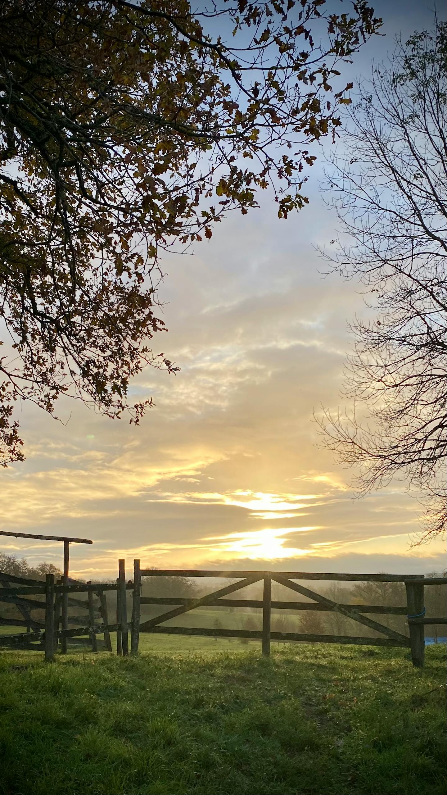 A serene sunrise over a rural French landscape featuring a wooden fence and bare trees.